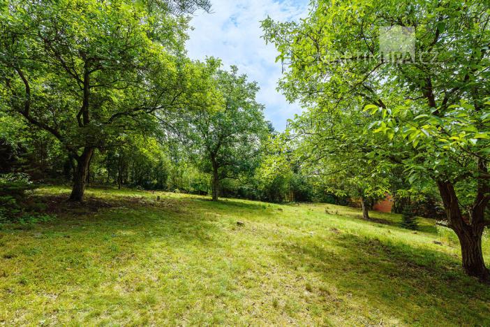 Prodej pozemku pro bydlení, Roztoky, V Úvoze, 3034 m2