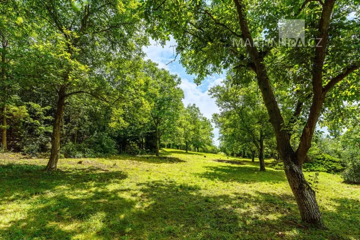 Prodej pozemku pro bydlení, Roztoky, V Úvoze, 3034 m2