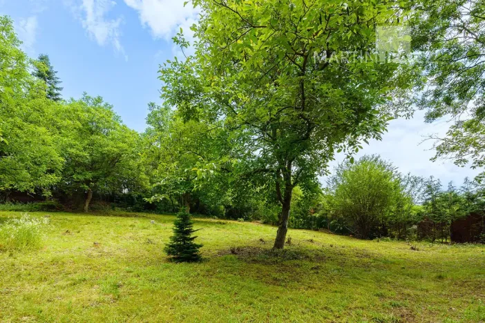 Prodej pozemku pro bydlení, Roztoky, V Úvoze, 3034 m2