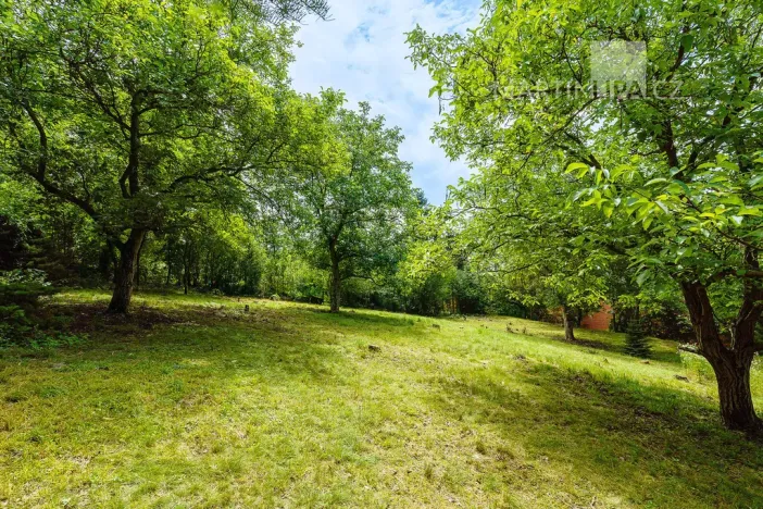 Prodej pozemku pro bydlení, Roztoky, V Úvoze, 3034 m2