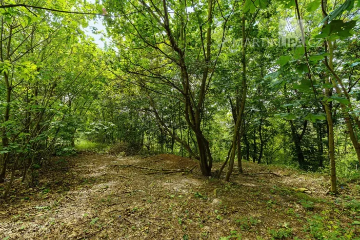 Prodej pozemku pro bydlení, Roztoky, V Úvoze, 3034 m2