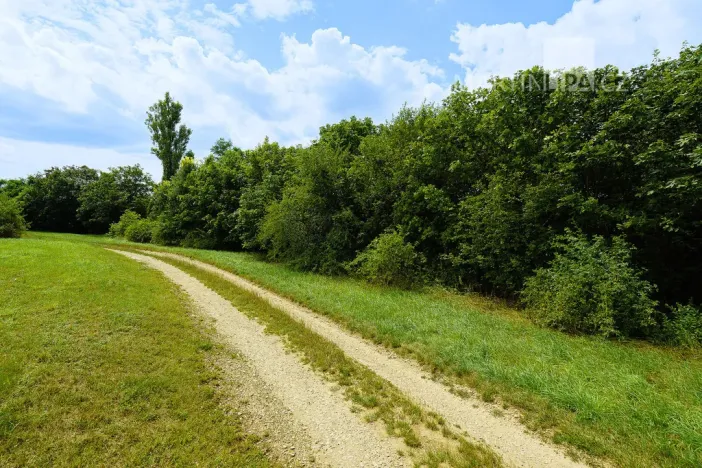 Prodej pozemku pro bydlení, Roztoky, V Úvoze, 3034 m2