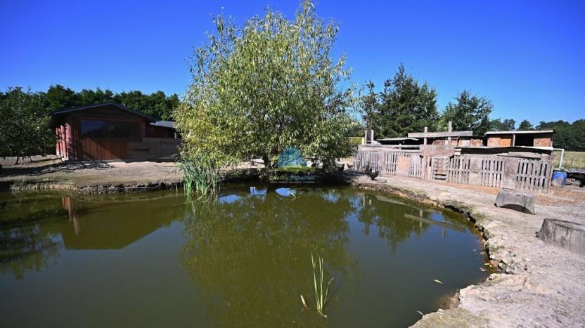 Prodej pozemku pro bydlení, Františkovy Lázně - Krapice, 1217 m2