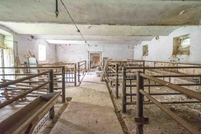 Prodej zemědělské usedlosti, Stránka, 440 m2