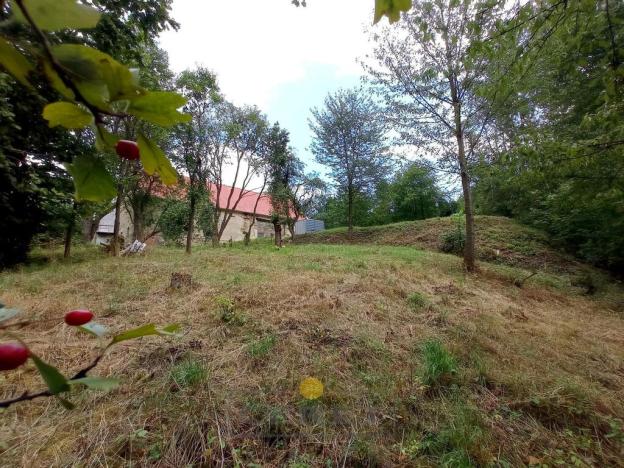 Prodej pozemku pro bydlení, Dubá - Korce, 8483 m2