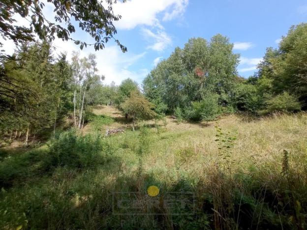 Prodej pozemku pro bydlení, Dubá - Korce, 8483 m2