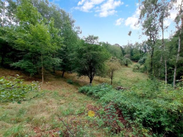 Prodej pozemku pro bydlení, Dubá - Korce, 8483 m2