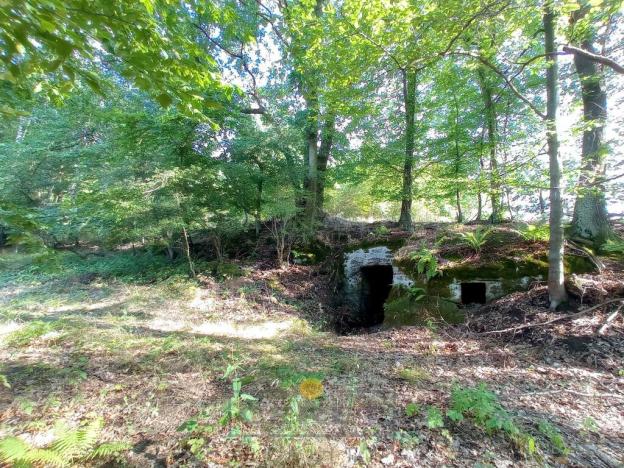 Prodej pozemku pro bydlení, Dubá - Korce, 8483 m2