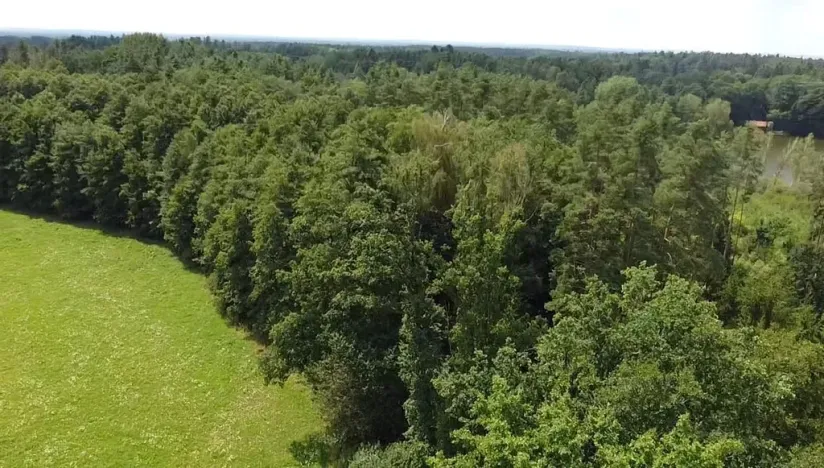Prodej pole, Chlum u Třeboně - Žíteč, 130000 m2