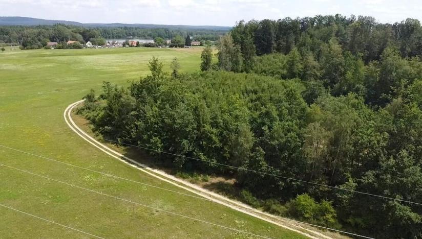 Prodej lesa, Chlum u Třeboně - Žíteč, 360000 m2
