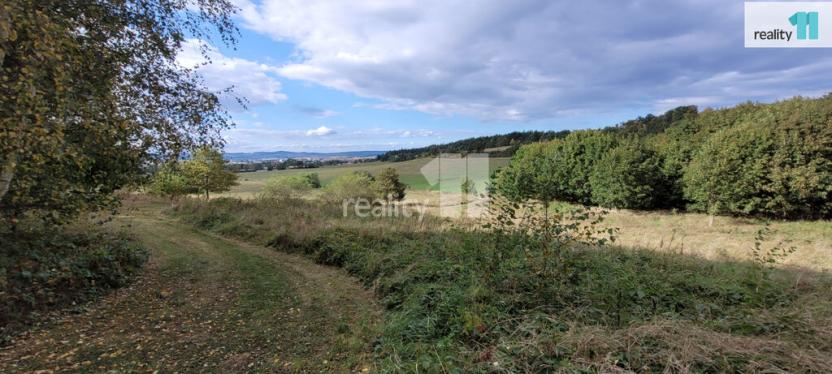 Prodej pozemku pro bydlení, Písek - Budějovické Předměstí, 5935 m2