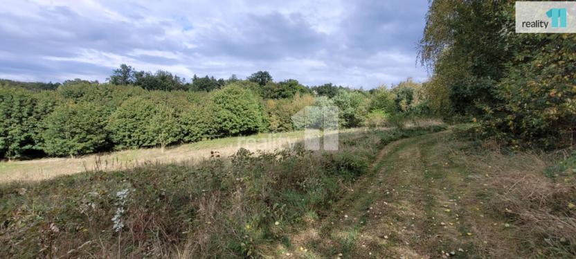 Prodej pozemku pro bydlení, Písek - Budějovické Předměstí, 5935 m2