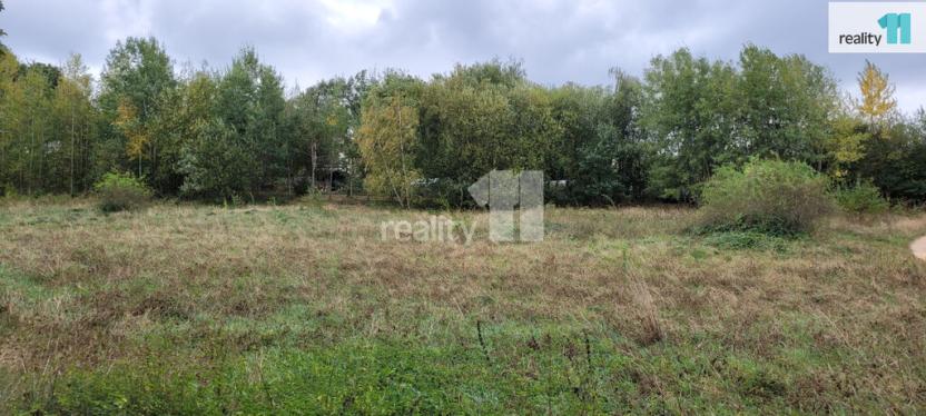 Prodej pozemku pro bydlení, Písek - Budějovické Předměstí, 5935 m2