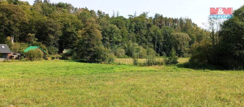 Prodej louky, Chyňava, 11196 m2