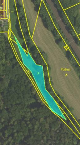 Prodej trvalého travního porostu, Letovice, Podlesí, 1981 m2