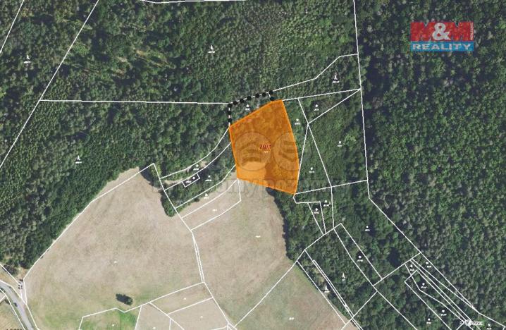 Prodej trvalého travního porostu, Nezabudice, 6426 m2