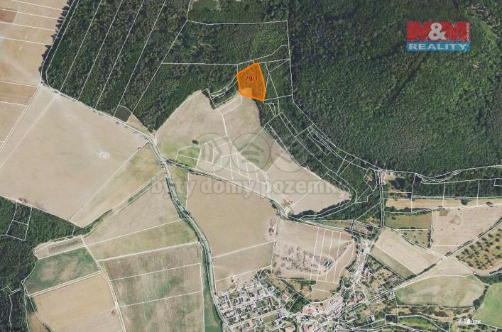 Prodej trvalého travního porostu, Nezabudice, 6426 m2