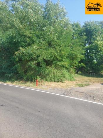 Prodej bytu 2+kk, Syrovice, 436 m2