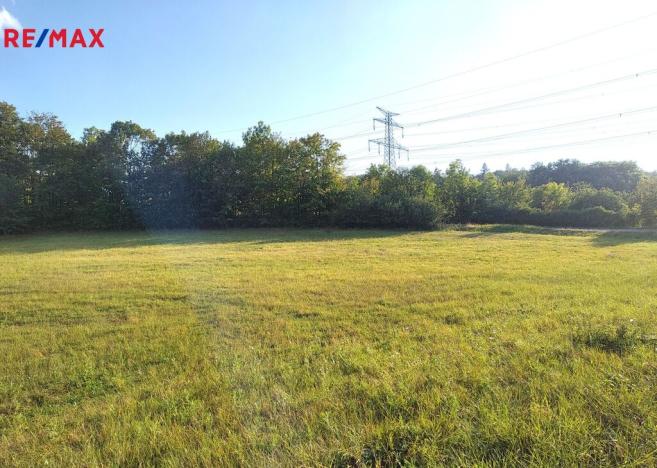 Prodej pozemku, Mašťov, Mašťov, 8452 m2