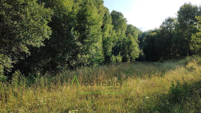 Prodej pozemku pro bydlení, Černá v Pošumaví, 2024 m2