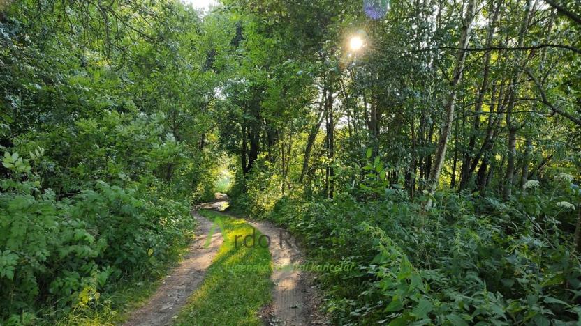 Prodej pozemku pro bydlení, Černá v Pošumaví, 2024 m2