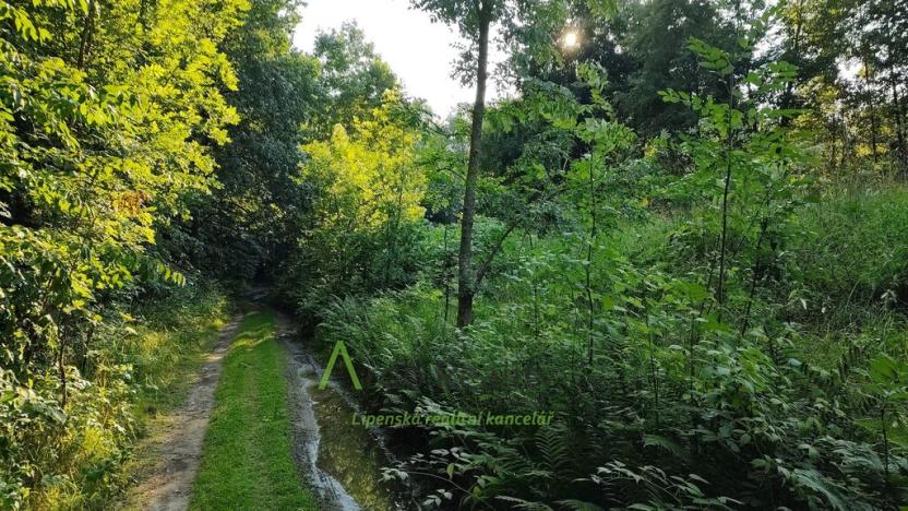 Prodej pozemku pro bydlení, Černá v Pošumaví, 2024 m2