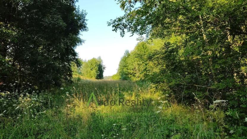 Prodej pozemku pro bydlení, Černá v Pošumaví, 2024 m2