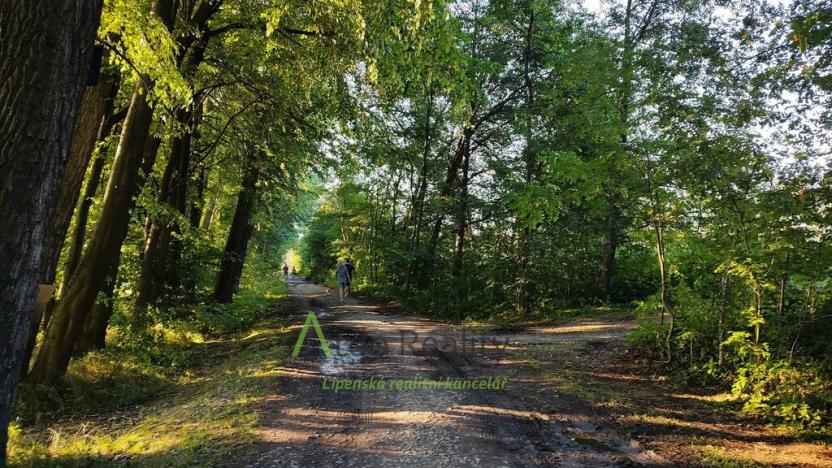 Prodej pozemku pro bydlení, Černá v Pošumaví, 2024 m2