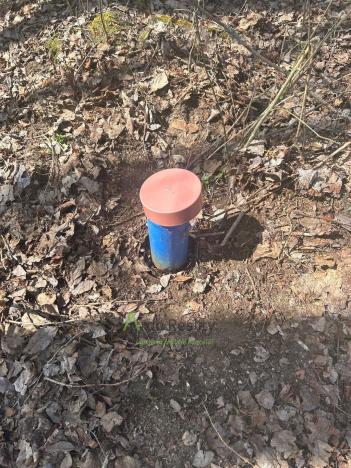 Prodej pozemku pro bydlení, Černá v Pošumaví, 2024 m2