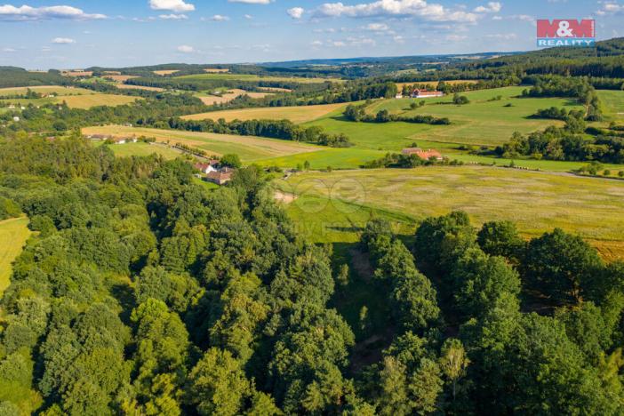 Prodej trvalého travního porostu, Albrechtice nad Vltavou - Hladná, 6183 m2