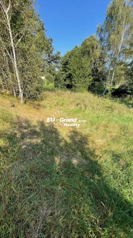 Prodej trvalého travního porostu, Šluknov, 14798 m2