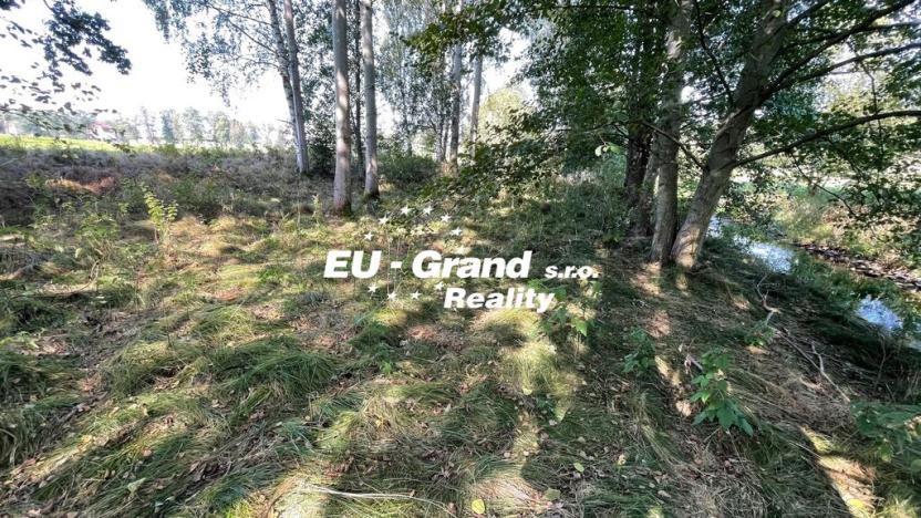 Prodej trvalého travního porostu, Šluknov, 14798 m2