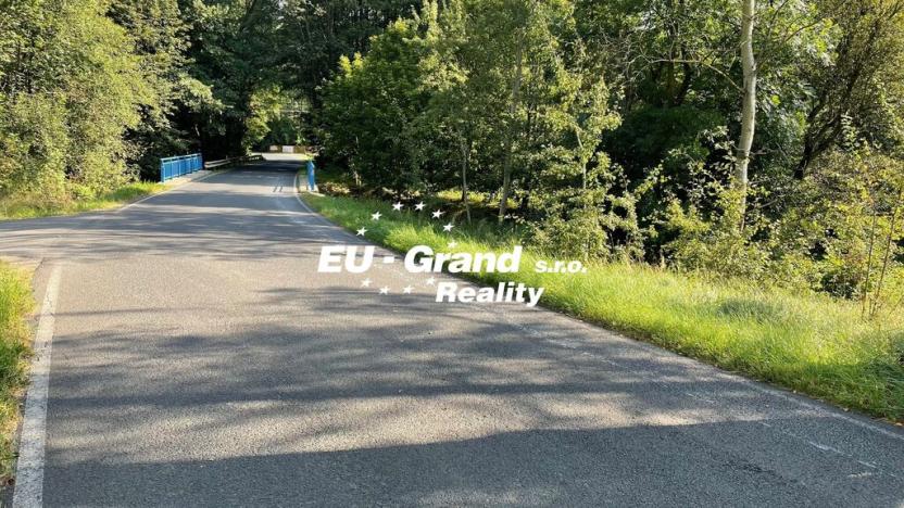 Prodej trvalého travního porostu, Šluknov, 14798 m2