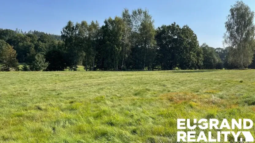 Prodej trvalého travního porostu, Šluknov, 14798 m2