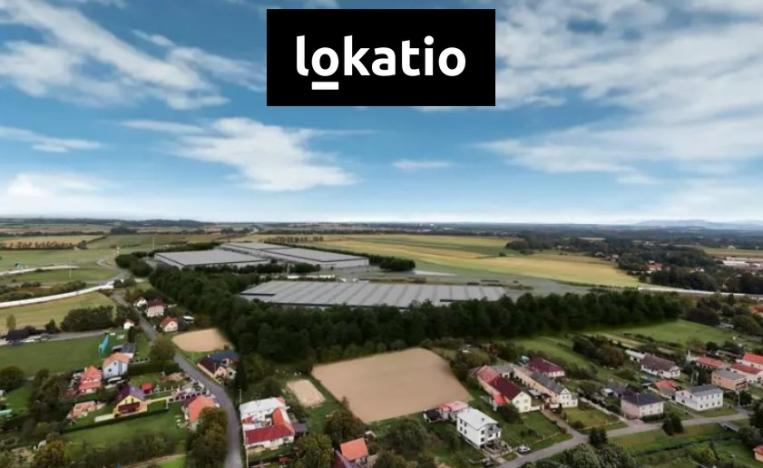 Pronájem výrobních prostor, Hladké Životice, 4000 m2