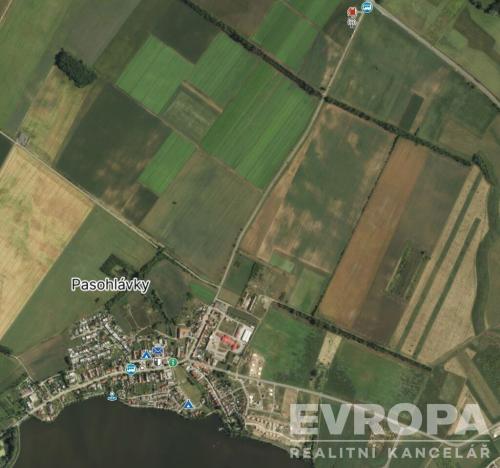 Prodej zahrady, Pasohlávky, 5400 m2