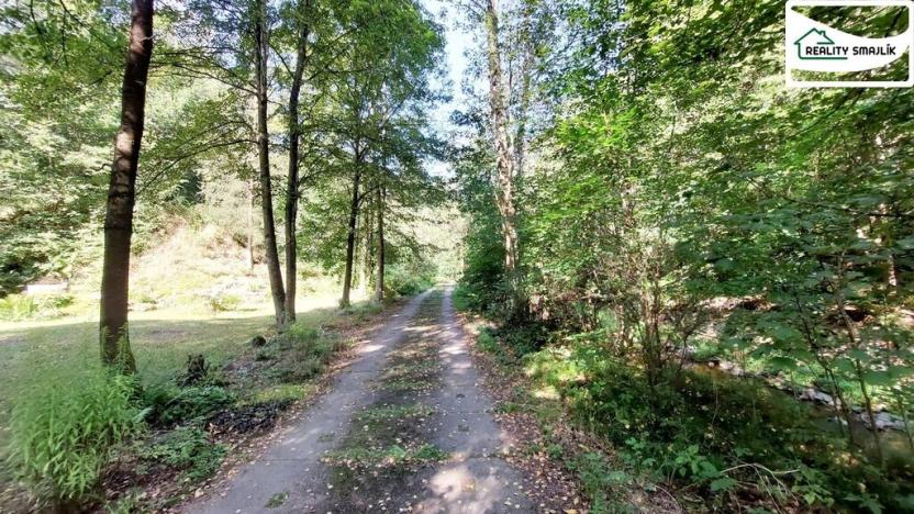 Prodej chalupy, Planá - Pavlovice, 110 m2