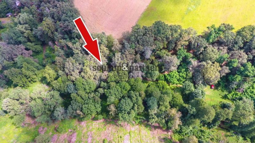 Prodej chaty, Jesenice - Osnice, 53 m2