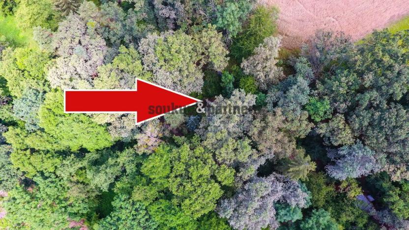 Prodej chaty, Jesenice - Osnice, 53 m2