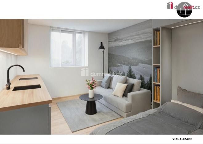 Prodej bytu 1+kk, Merklín - Pstruží, 25 m2