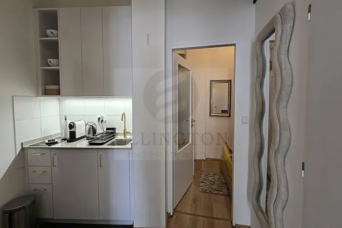 Pronájem bytu 2+kk, Praha - Vinohrady, Šafaříkova, 39 m2
