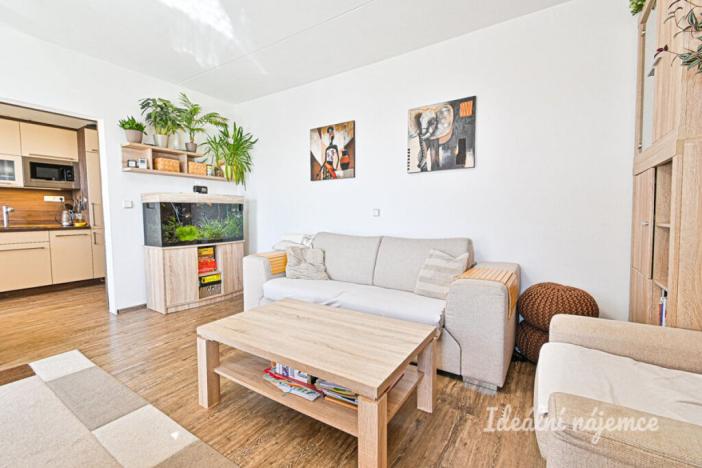 Pronájem bytu 3+1, Brno, Švermova, 77 m2