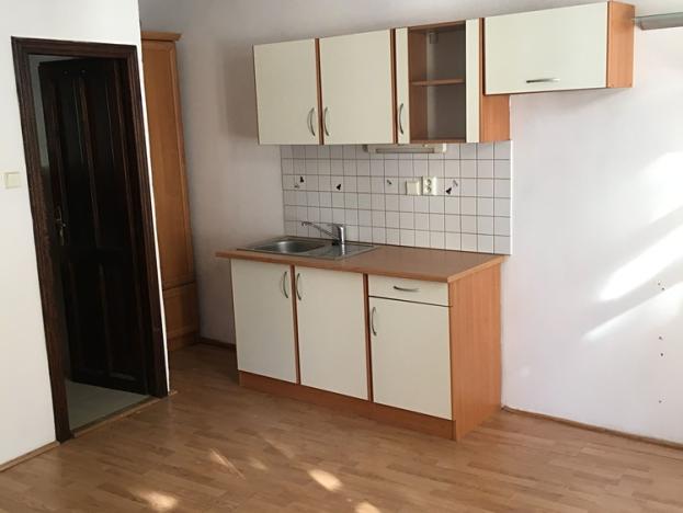 Pronájem bytu 1+kk, Žatec, Dlouhá, 25 m2