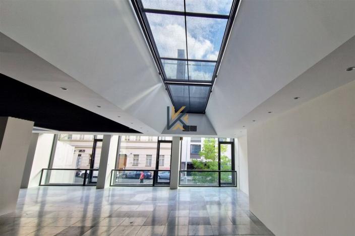 Pronájem kanceláře, Praha - Smíchov, Holečkova, 345 m2
