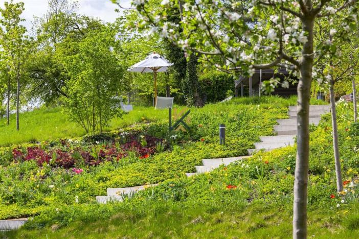 Pronájem obchodního prostoru, Praha - Smíchov, Holečkova, 345 m2