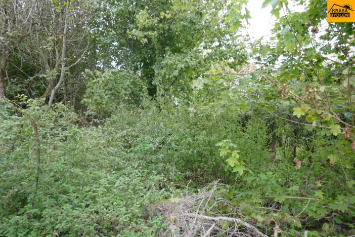 Prodej chalupy, Nemotice, 149 m2