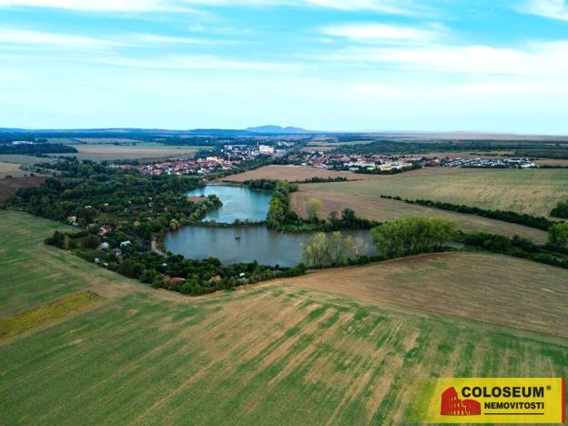 Prodej zahrady, Vojkovice, 773 m2