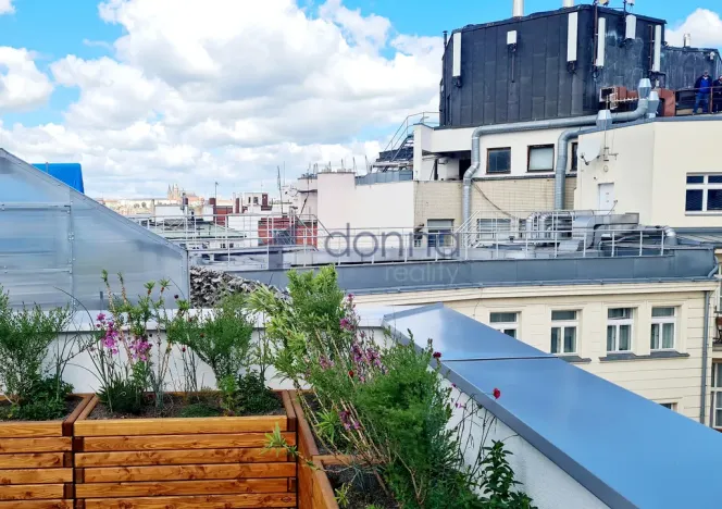 Pronájem kanceláře, Praha - Nové Město, Václavské náměstí, 511 m2