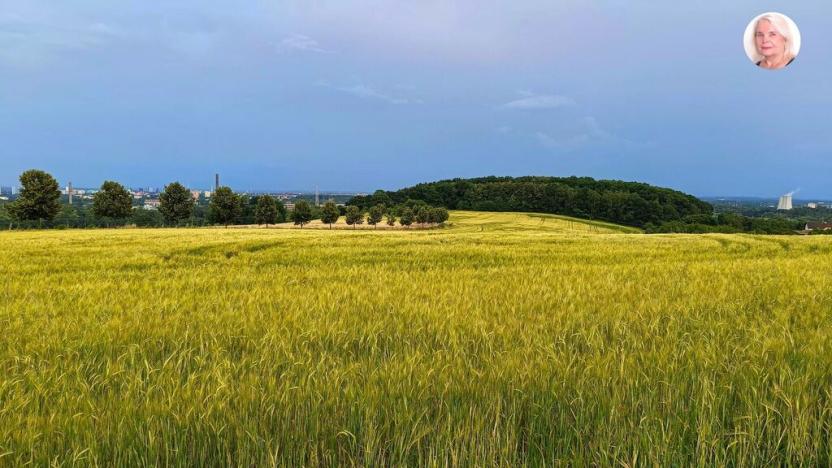 Prodej pozemku pro bydlení, Ostrava - Hošťálkovice, Nad Dubíčkem, 3621 m2