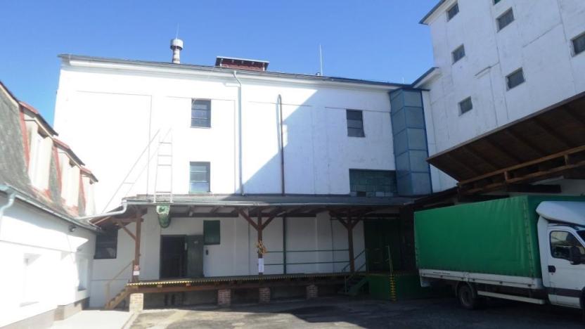 Prodej zemědělského objektu, Brniště - Velký Grunov, 7741 m2